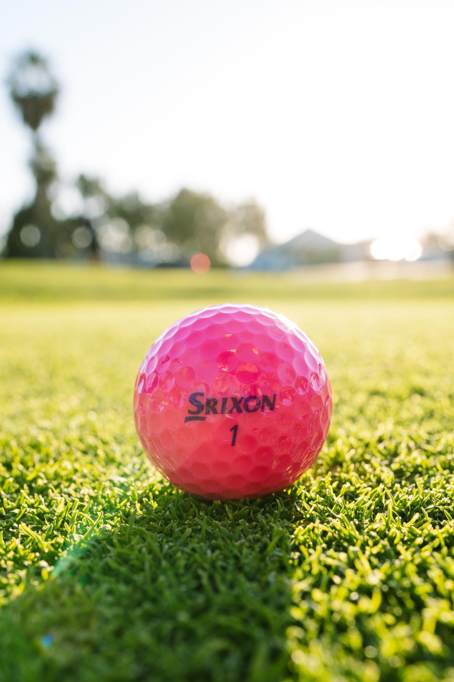 Srixon Soft Feel Lady Golf Balls - Passion Pink