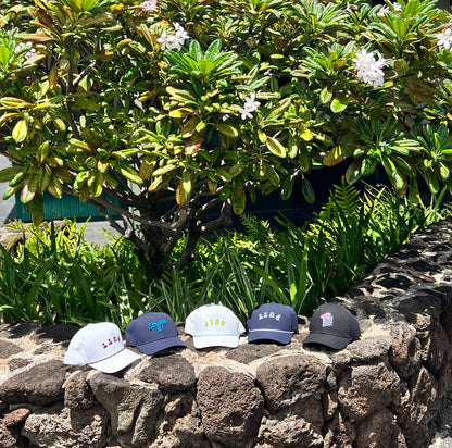 Black Putter Shop 6-Panel Performance Structured Hat